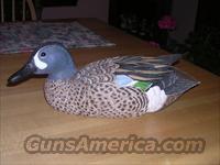 Hand Carved Wooden Duck - Bluewing Teal Drake  Artwork