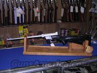 Charter Arms AR 7 Explorer Survival rifle  Charter Arms Rifles