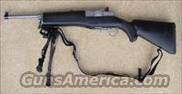 Ruger Mini 14 .223 Ranch Rifle with Synthetic Black Stock and Tri Pod  Ruger Rifles > Mini-14 Type