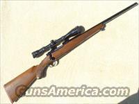 Ruger M77 Varmint .243 Winchester with Weaver Scope  Ruger Rifles > Model 77