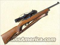 Ruger 10-22 with Bushnell scope  Ruger Rifles > 10-22