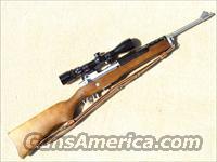 Ruger Mini-14 .223   Ruger Rifles > Mini-14 Type