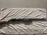 winchester model 120  20 gauge shotgun  Winchester Shotguns - Modern > Pump Action > Hunting
