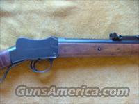 martini cadet rifle cal 310  Marlin Rifles > Pre-1899