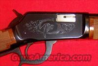 Winchester Model 9422 Coon & Hound Limited Edition  Winchester Rifles - Modern Lever > Other Lever > Post-64