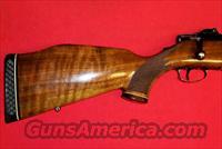 Colt Sauer  Colt Rifles - Non-AR15 Modern Rifles