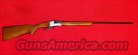 Investarm Folding Shotgun  Savage Shotguns