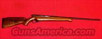 Mossberg Model 151K  Mossberg Rifles > Plinkster Series