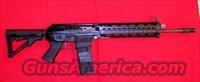 Sig 556  Sig - Sauer/Sigarms Rifles