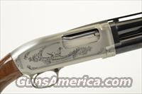 WINCHESTER M-12 DUCKS UNLIMITED 20 GAUGE  Winchester Shotguns - Modern > Pump Action > Hunting