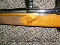 Sako A1 in 6PPC w/ Leupold high rings/base  Sako Rifles > Other Bolt Action
