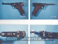 1906 Swiss "Cross in Shield" Luger  Luger Pistols