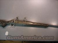 stainless laminate m77 22-250  Ruger Rifles > Model 77