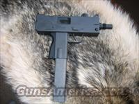 vulcan Mac 10 45 acp  Cobray Pistols