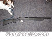 Remington mod# 870 (home defence) 12 gau pump 18.5"  Remington Shotguns  > Pump > Tactical
