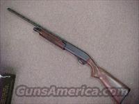 remington 870 express 410, walnut stocked  Remington Shotguns  > Pump > Hunting