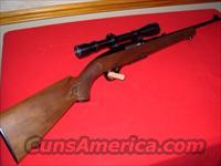 Winchester model 100 .308  Winchester Rifles - Modern Bolt/Auto/Single > Autoloaders