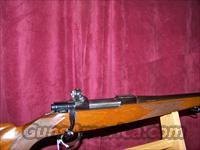 SAKO FORESTER  MODEL L579 243 WIN  Sako Rifles > Other Bolt Action