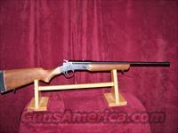 ROSSI MATCHED PAIR 243 WIN/20GA SHOTGUN  Rossi Rifles > Other