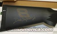Remington 870 Express Dale Earnhardt, Jr.  Remington Shotguns  > Pump > Hunting