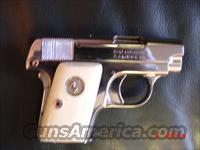 Colt 1908,25 caliber,nickel,real Walrus ivory grips,made in 1925,a real beauty !! 87 years old !!  Colt Automatic Pistols (.25, .32, & .380 cal)