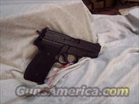 Sig Sauer Model P229  Sig - Sauer/Sigarms Pistols > P229