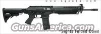 Sig 556  Sig - Sauer/Sigarms Rifles
