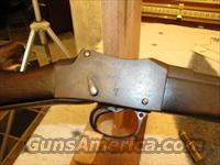 Enfield Martini Henry 577/450  Martini Rifles
