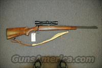 Lou Alessandi custom rifle .458 caliber  L Misc Rifles