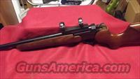 Thompson Center Encore 7mm Mag  Thompson Center Rifles > Encore
