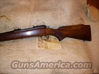 WINCHESTER PRE 64    243  FEATHERWEIGHT  Winchester Rifles - Modern Bolt/Auto/Single > Model 70 > Pre-64