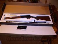 Browning A-5   twenty gauge   NIB  Browning Shotguns > Autoloaders > Hunting