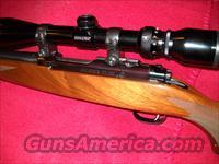 RUGER  77/22  HORNET  Ruger Rifles > Model 77