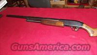 MOSSBERG 500     12  GAUGE  Mossberg Shotguns > Pump > Sporting