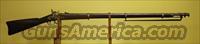Colt .58 Caliber Musket 1863  Antique (Pre-1899) Rifles - Perc. Misc.