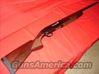 Browning Gold Evolve 12ga 30in  Browning Shotguns > Autoloaders > Hunting