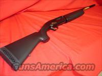 Browning Gold Stalker 12ga 28in  Browning Shotguns > Autoloaders > Hunting