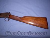 Winchester Model 1906 Pump 22  Rifle  Winchester Rifles - Modern Pump