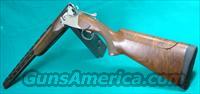 M- 6500 (101) Trap, 30", choke tubed/IM  Winchester Shotguns - Modern > O/U > Trap/Skeet