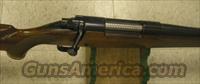 WINCHESTER/MODEL 70  Winchester Rifles - Modern Bolt/Auto/Single > Model 70 > Post-64