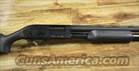 Charles Daly 12 Ga 3" Pump Syn VR KBI  Charles Daly Shotguns > Auto