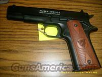 Chiappa Puma 1911 22Lr.   Chiappa Pistols & Revolvers > .22 Cal 1911
