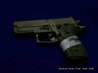 Sig Sauer P229r Scorpion  Sig - Sauer/Sigarms Pistols > P229