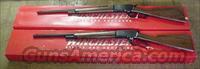 Consecutive Pair 1886 Winchester New in box  Winchester Rifles - Modern Lever > Other Lever > Post-64