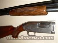 Ducks Unlimited Model 12  Winchester Shotgun Commemoratives