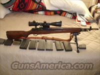 SPRINGFIELD M1A  Springfield Armory Rifles > M1A/M14