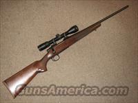 REMINGTON 700 CLASSIC .308 WIN w/ BUSHNELL ELITE 4200 SCOPE  Remington Rifles - Modern > Model 700 > Sporting