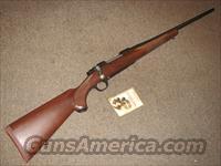 RUGER 77 HAWKEYE .30-06 - NEW!  Ruger Rifles > Model 77