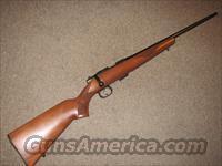 CZ 453 AMERICAN .22LR - NEW!!  CZ (Ceska ZBrojovka) Rifles