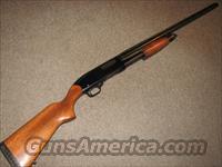 WNCHESTER 120 RANGER 12 GA  Winchester Shotguns - Modern > Pump Action > Hunting
